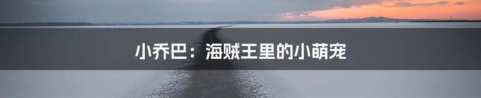 小乔巴:海贼王里的小萌宠