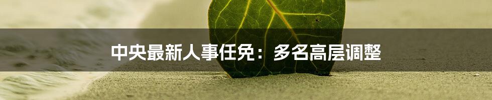 中央最新人事任免:多名高层调整