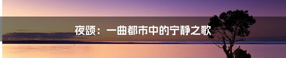 夜颂:一曲都市中的宁静之歌