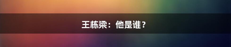 王栋梁:他是谁?