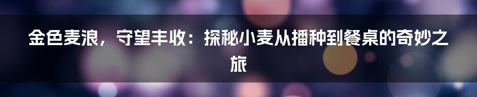 金色麦浪,守望丰收:探秘小麦从播种到餐桌的奇妙之旅