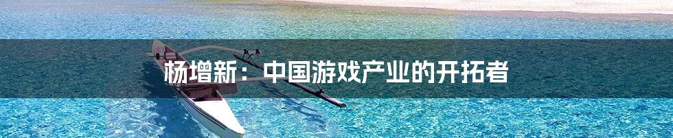 杨增新:中国游戏产业的开拓者