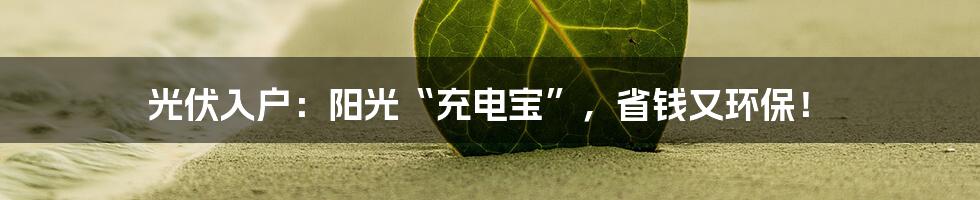 光伏入户:阳光“充电宝”,省钱又环保!