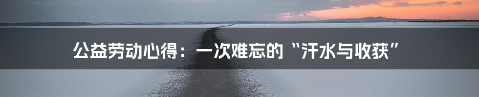 公益劳动心得:一次难忘的“汗水与收获”