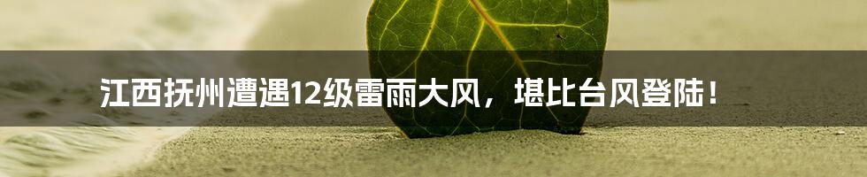江西抚州遭遇12级雷雨大风，堪比台风登陆！