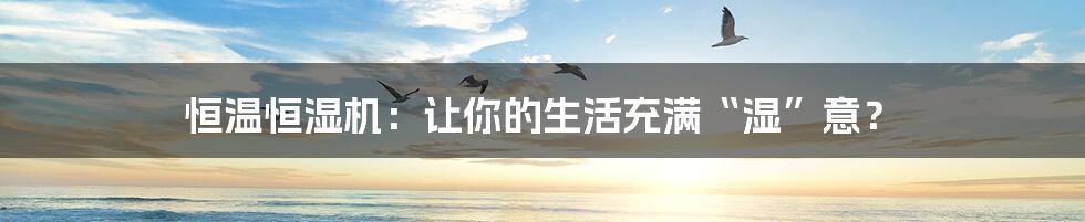 恒温恒湿机:让你的生活充满“湿”意?