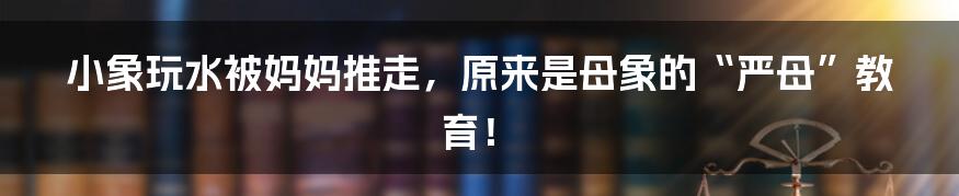 小象玩水被妈妈推走,原来是母象的“严母”教育!