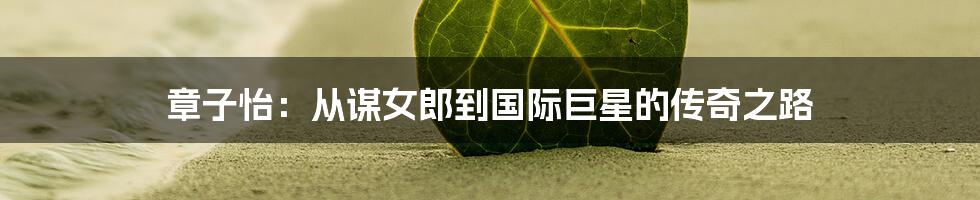 章子怡:从谋女郎到国际巨星的传奇之路