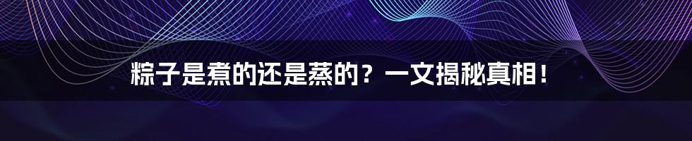 粽子是煮的还是蒸的?一文揭秘真相!