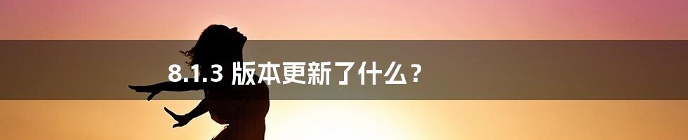 8.1.3 版本更新了什么?