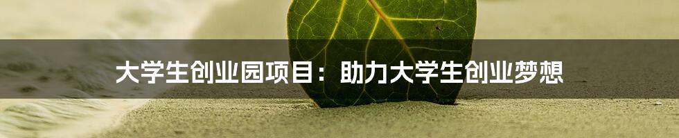 大学生创业园项目:助力大学生创业梦想
