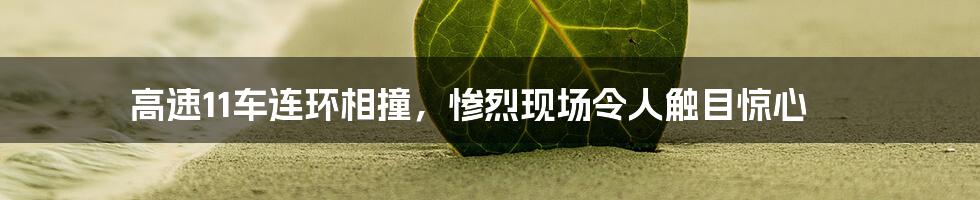 高速11车连环相撞,惨烈现场令人触目惊心