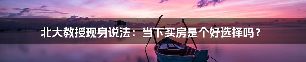 北大教授现身说法:当下买房是个好选择吗?