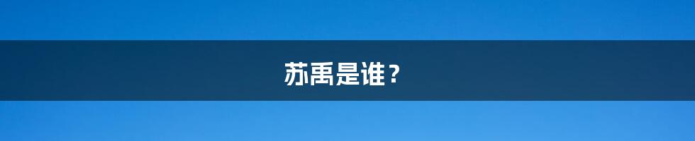 苏禹是谁?
