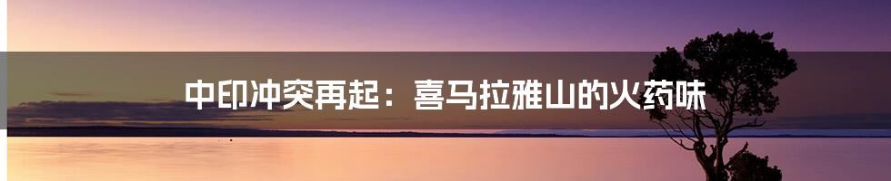 中印冲突再起:喜马拉雅山的火药味
