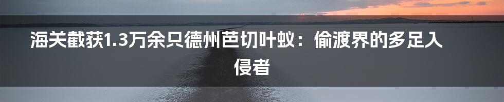 海关截获1.3万余只德州芭切叶蚁:偷渡界的多足入侵者