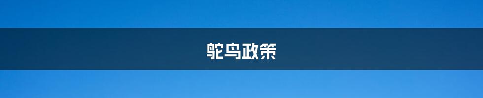 鸵鸟政策