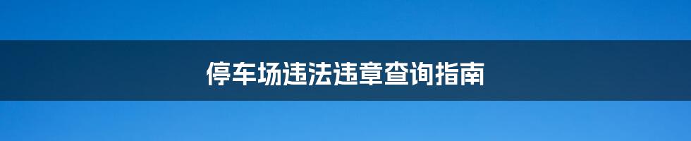 停车场违法违章查询指南