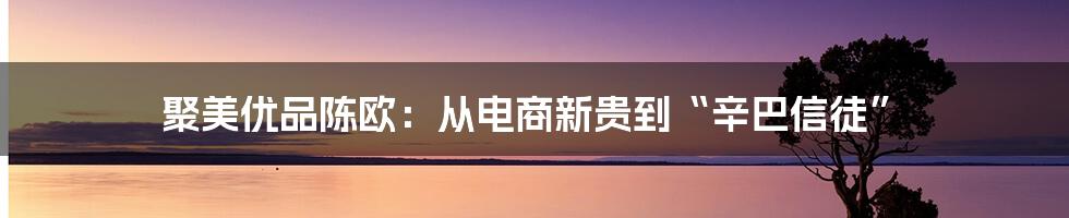 聚美优品陈欧：从电商新贵到“辛巴信徒”