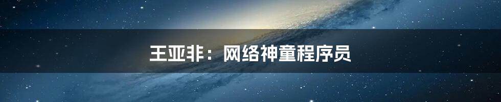 王亚非:网络神童程序员