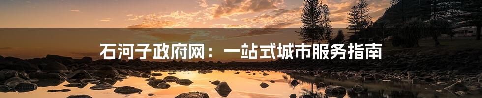 石河子政府网:一站式城市服务指南