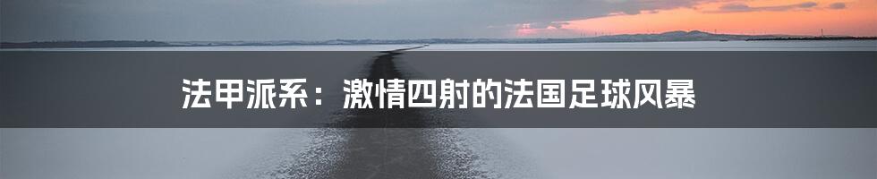 法甲派系:激情四射的法国足球风暴