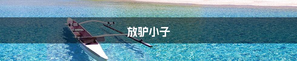 放驴小子
