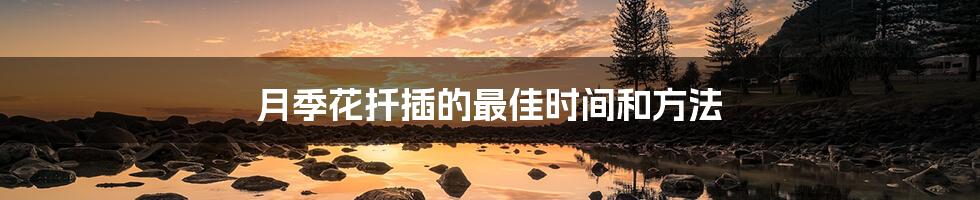 月季花扦插的最佳时间和方法