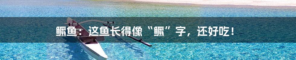 鳜鱼:这鱼长得像“鳜”字,还好吃!