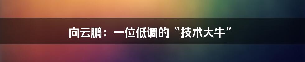 向云鹏:一位低调的“技术大牛”