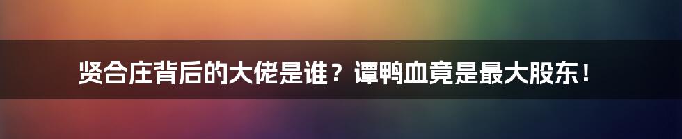 贤合庄背后的大佬是谁?谭鸭血竟是最大股东!