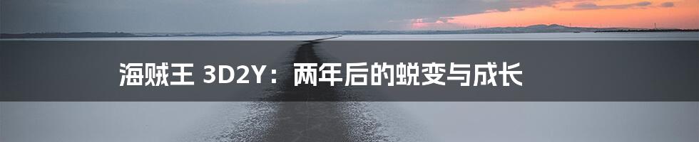 海贼王 3D2Y:两年后的蜕变与成长