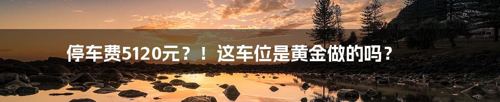 停车费5120元?!这车位是黄金做的吗?