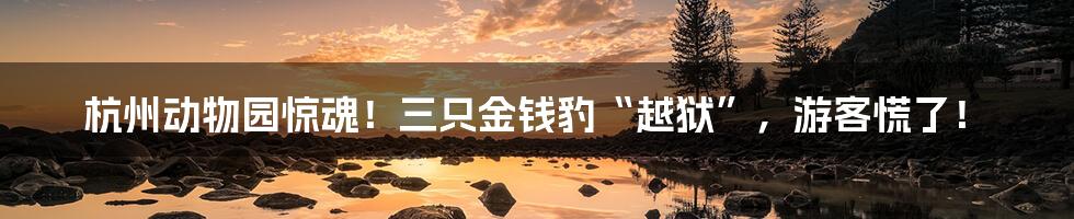 杭州动物园惊魂!三只金钱豹“越狱”,游客慌了!