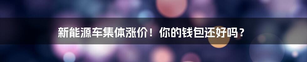 新能源车集体涨价!你的钱包还好吗?