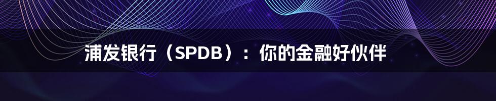 浦发银行(SPDB):你的金融好伙伴