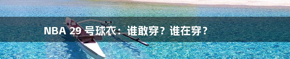 NBA 29 号球衣:谁敢穿?谁在穿?