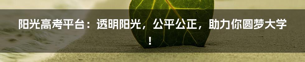 阳光高考平台:透明阳光,公平公正,助力你圆梦大学!