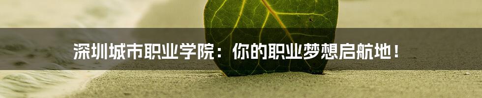 深圳城市职业学院:你的职业梦想启航地!