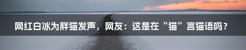 网红白冰为胖猫发声,网友:这是在“猫”言猫语吗?