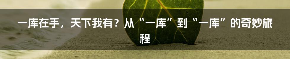 一库在手,天下我有?从“一库”到“一库”的奇妙旅程