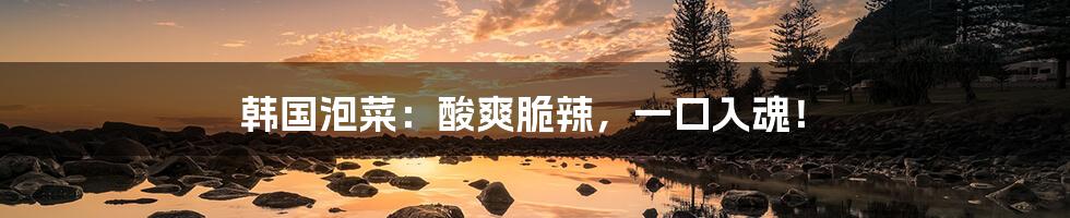 韩国泡菜:酸爽脆辣,一口入魂!