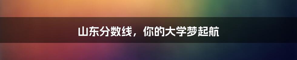 山东分数线,你的大学梦起航