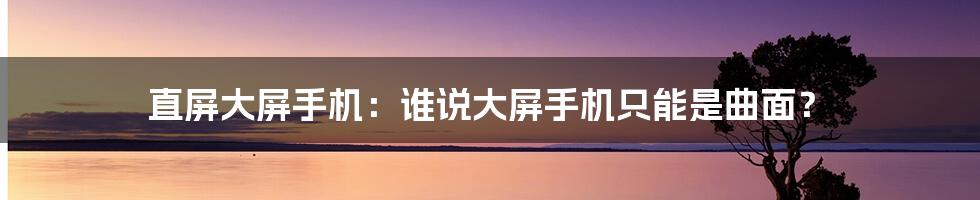 直屏大屏手机:谁说大屏手机只能是曲面?