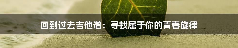 回到过去吉他谱:寻找属于你的青春旋律