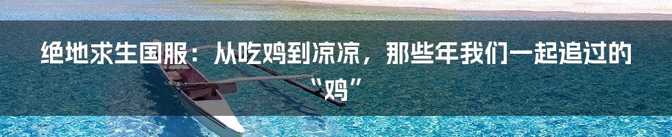 绝地求生国服:从吃鸡到凉凉,那些年我们一起追过的“鸡”