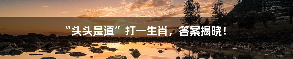 “头头是道”打一生肖，答案揭晓！