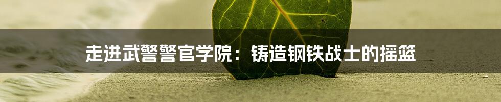 走进武警警官学院:铸造钢铁战士的摇篮