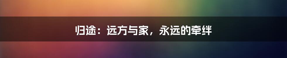 归途:远方与家,永远的牵绊