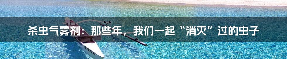 杀虫气雾剂:那些年,我们一起“消灭”过的虫子